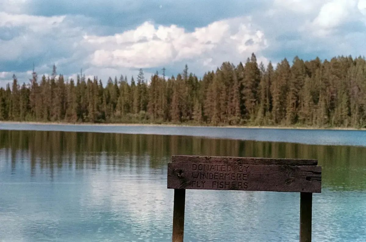Calm forest lake and dock