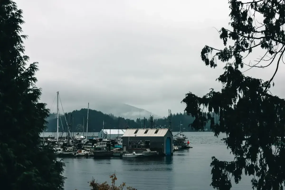 Small marina on a calm coastal inlet