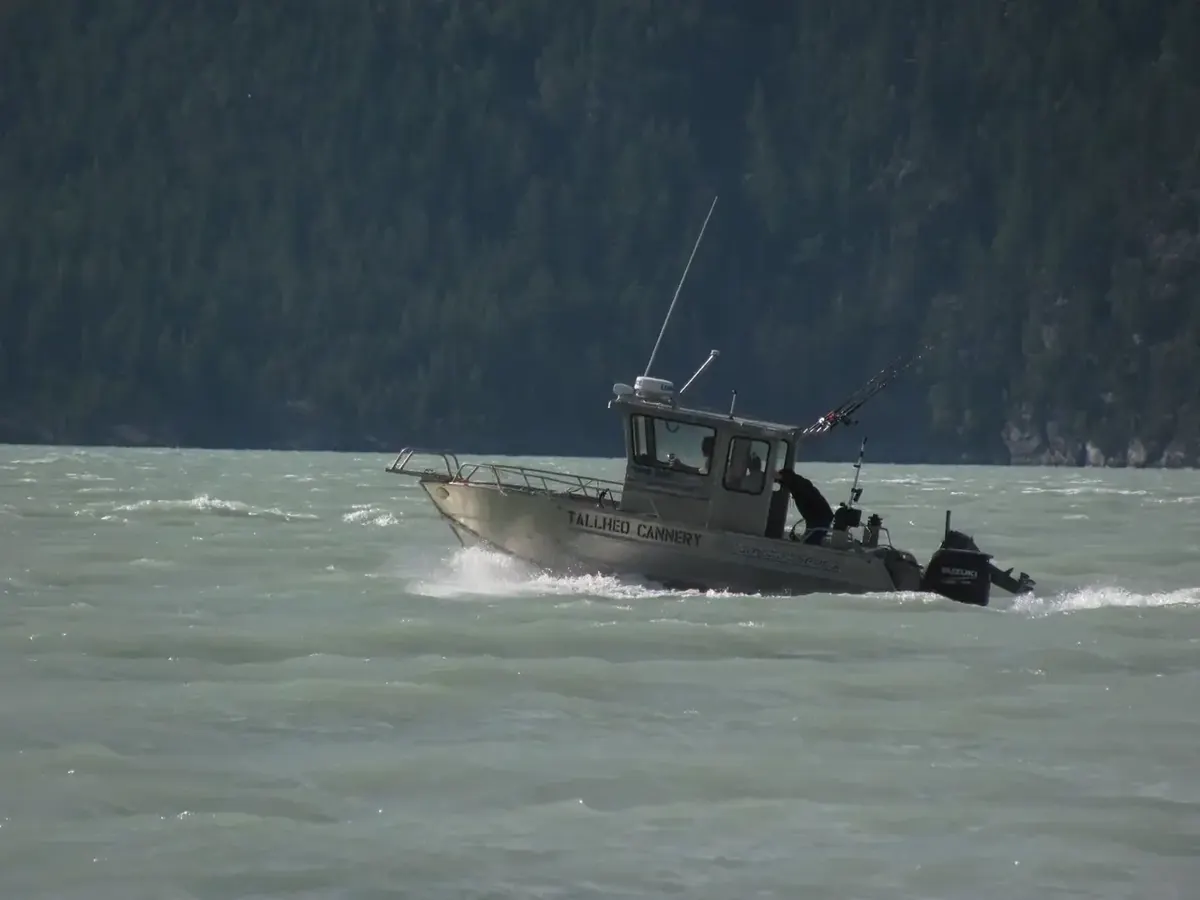 Small boat travelling through coastal water